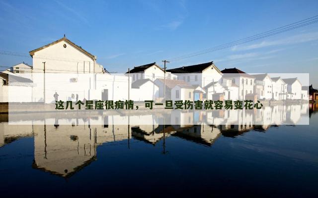 这几个星座很痴情，可一旦受伤害就容易变花心