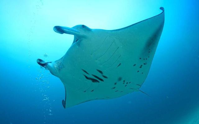 空窗期最久，很难脱单的三个星座