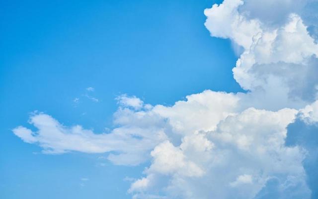 属狗女会用什么理由来接近男生