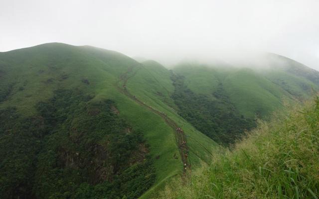 正大光明 这几大生肖讨厌小手段