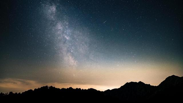 最热爱宫斗剧的生肖