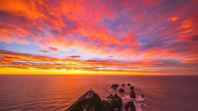 十二生肖分别是《武林外传》中的谁