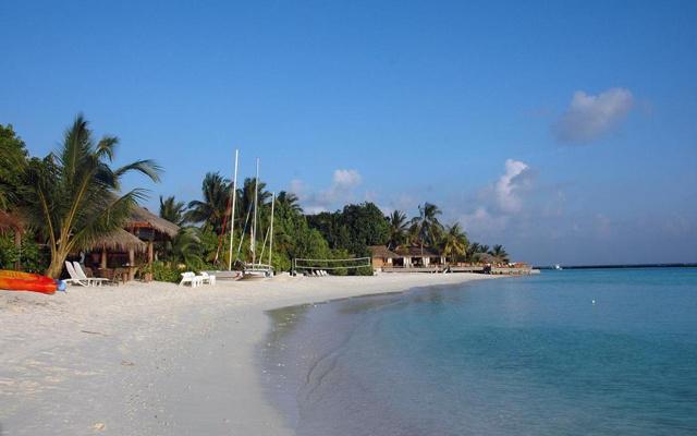 懂得克制自己 情商非常高的生肖