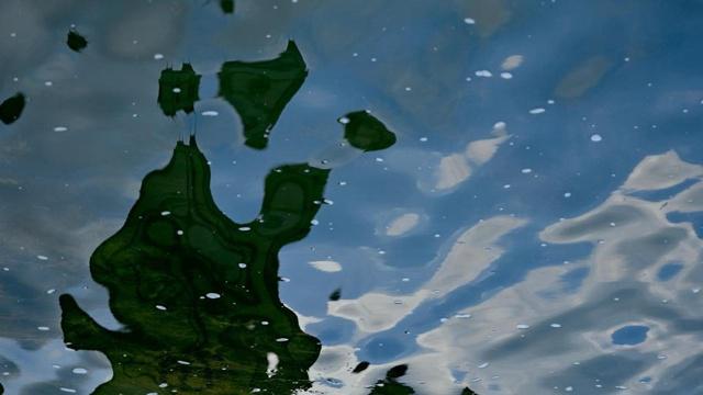 做事总是白费功夫的生肖