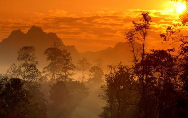 西方美女是什么生肖