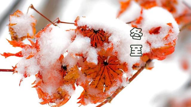 追求者财产多少 十二生肖女生才会考虑