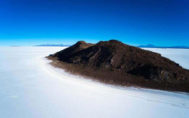 天才重现 双商超高为人精明的生肖