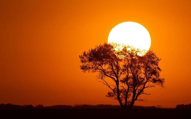 喜欢研究古墓的生肖