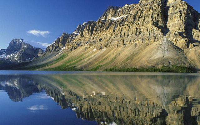 这些生肖越是逆境越是豁达开朗