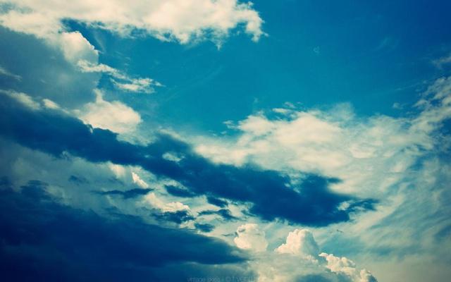 夸张 卖血卖肾也要买新款苹果的生肖