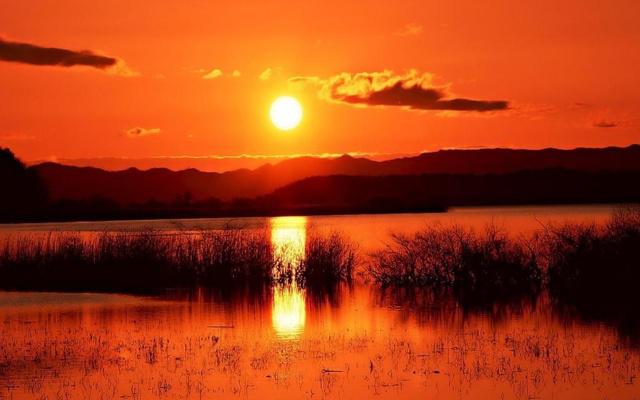爸爸属马妈妈属牛 孩子属什么比较好