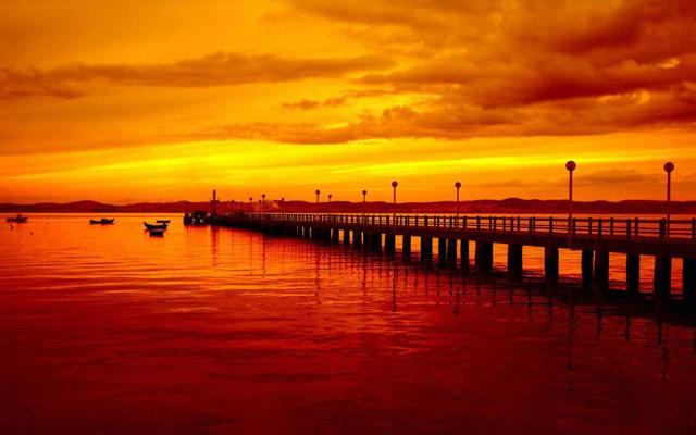 屋门可以种果树吗?风水吗