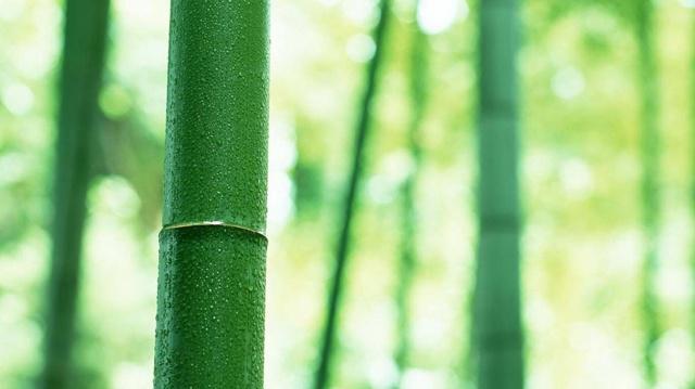 衣服乱扔影响风水吗