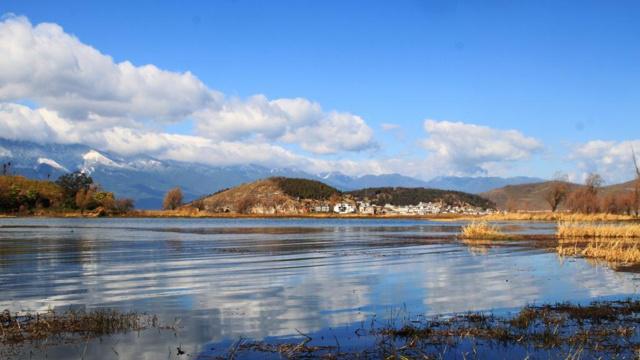 养鱼真有风水作用吗