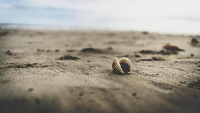 济缘命理命好八字