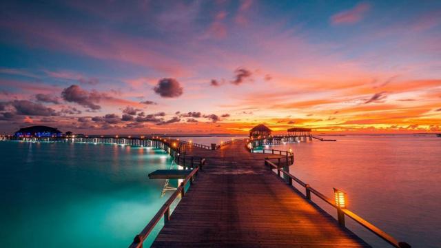 卫生间能种绿萝吗?风水好吗