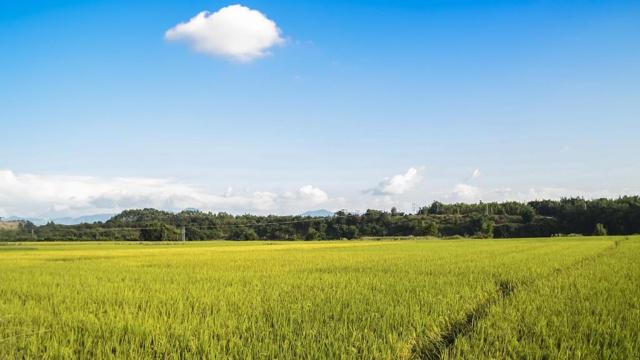 风水上可以戴口罩吗