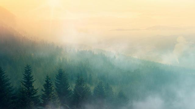 八字阴阳相同男命