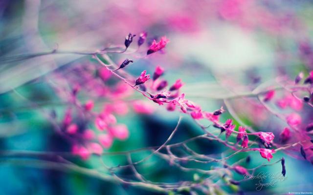 屋内能贴春联吗?风水吗