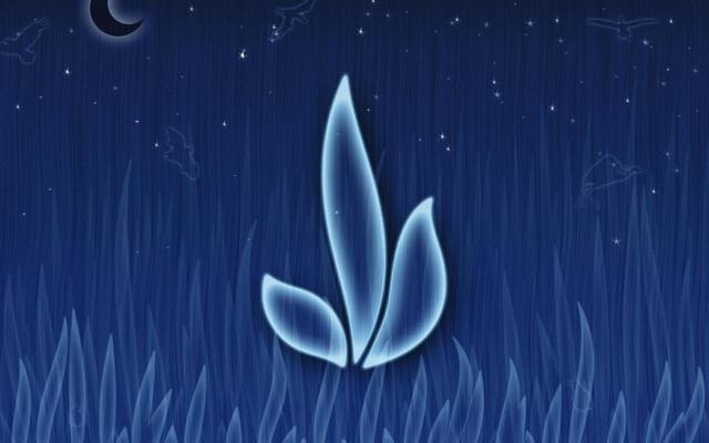 浴缸裏擺件講究風水嗎