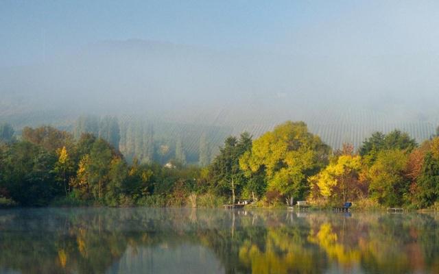 阴阳五行学说的影响